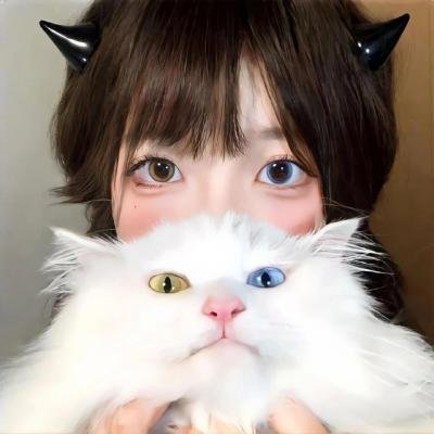 甜心战士